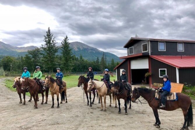 1.5 Hour Trail Ride on a working ranch in the Alaskan Mountains - Crossing fields, meadows, and ranch country