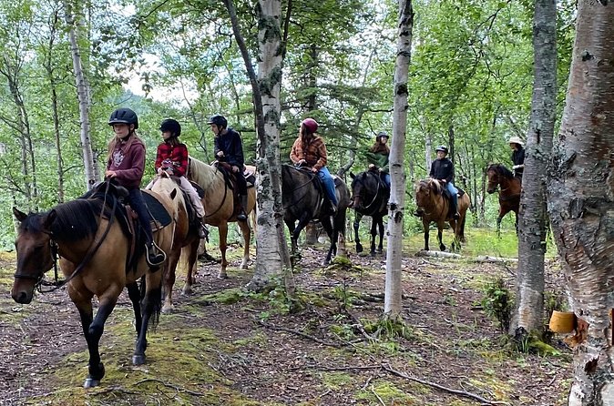 1.5 Hour Trail Ride on a working ranch in the Alaskan Mountains - Why the small group matters