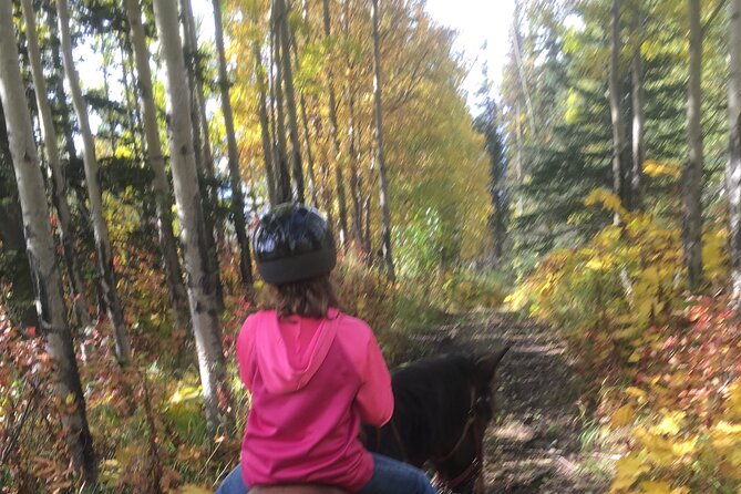 1.5 Hour Trail Ride on a working ranch in the Alaskan Mountains - Is $159 a fair price?