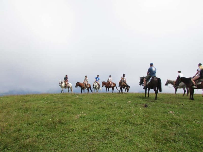 1 Day Horse Riding Adventure in Borjomi Mountains - Key points to know before you ride