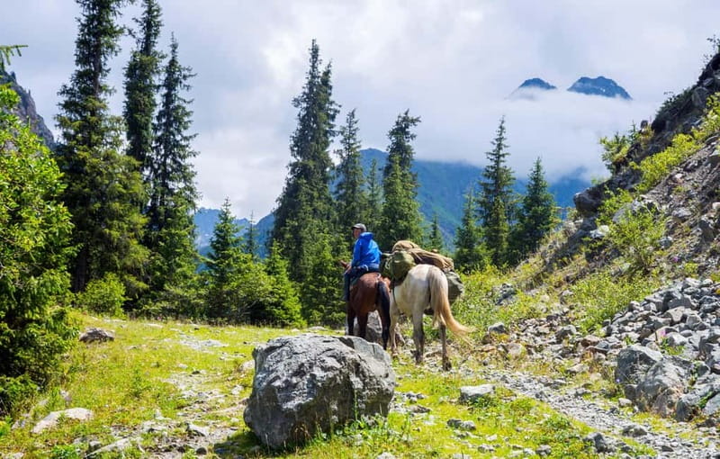 1 Day Horse Riding Adventure in Borjomi Mountains - Riding from Likani into Borjomi’s mountain country
