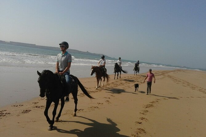 1 day horseback ride with lunch - Starting in Diabat, just outside Essaouira