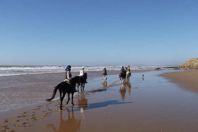 1 day horseback ride with lunch - Dunes, eucalyptus, and mimosa forest