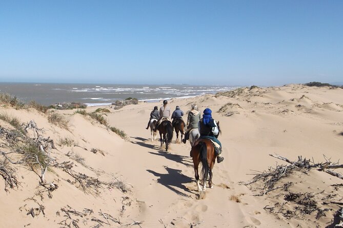 1 day horseback ride with lunch - A small fishing village along the route