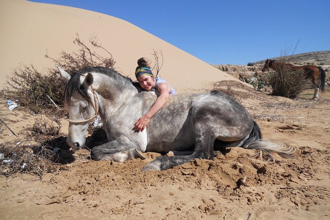 1 day horseback ride with lunch - Lunch, picnic, and the important fine print