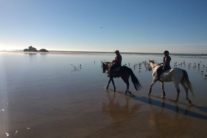 1 day horseback ride with lunch - What the $153 price really covers