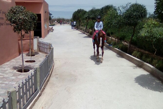 1 day horseback ride with lunch - Group size, comfort, and horse welfare