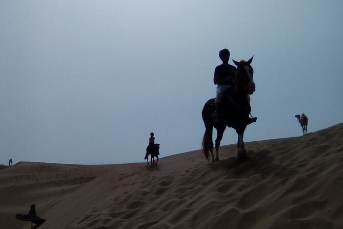 1 day horseback ride with lunch - A riding plan for beginners and experienced riders