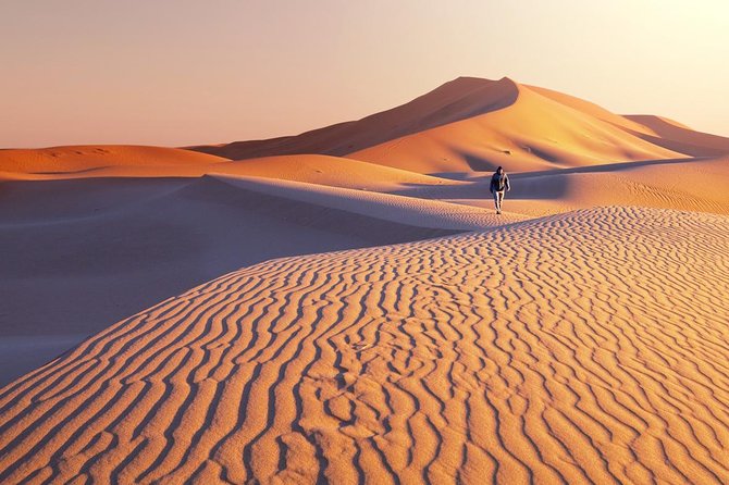 1 Day Semi-Gobi Tour with Lunch And Enjoying Camel or Horseback - Camel or horseback riding on the sand