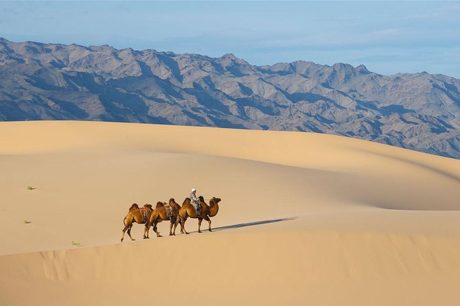 1 Day Semi-Gobi Tour with Lunch And Enjoying Camel or Horseback - Stops connected with the wider itinerary