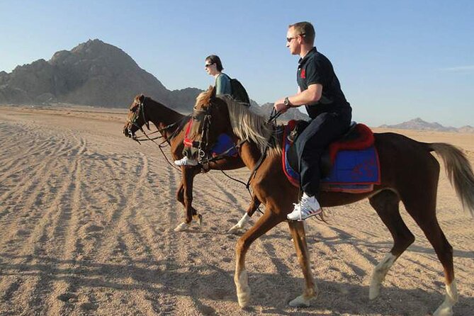 1 Hour Guided Horse Riding Activity in Sharm El Sheikh - Leaving Sharm El Sheikh for the Sinai desert