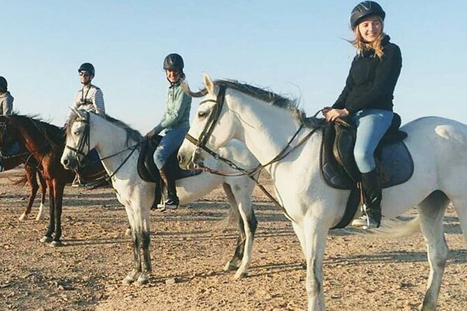1 Hour Guided Horse Riding Activity in Sharm El Sheikh - One hour across the desert