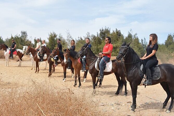 1 Hour Guided Horse Riding Activity in Sharm El Sheikh - The Bedouin tent and a short tea break