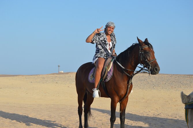 1 Hour Guided Horse Riding Activity in Sharm El Sheikh - Meeting the horses and handlers