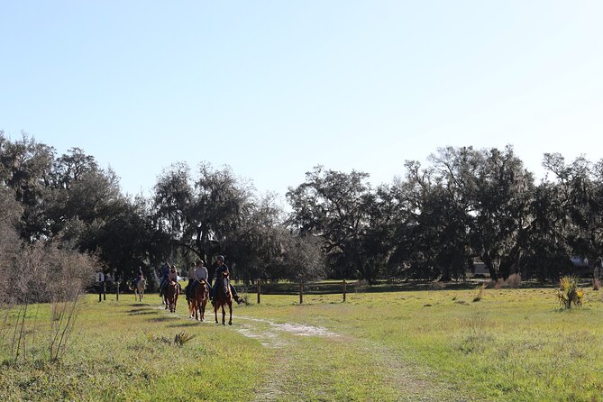 1 Hour Guided Horseback Trail Ride Rock Springs Run State Reserve - A small group, but not a private ride