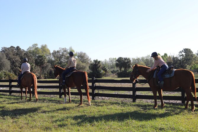 1 Hour Guided Horseback Trail Ride Rock Springs Run State Reserve - Finding the stables at 31700 County Road 433