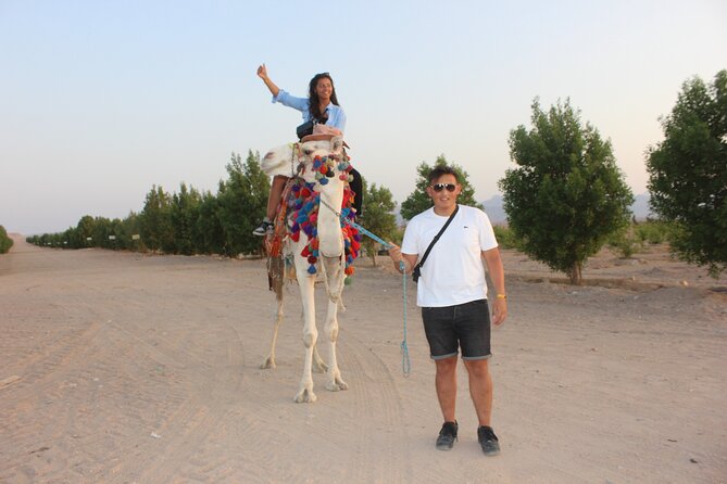 1 Hour horse Ride and Jeep adventure with stargazing -Hurghada - Who should book this Hurghada evening?