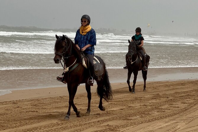 1 hour horse ride on the beach of essaouira - Through eucalyptus and mimosa forest