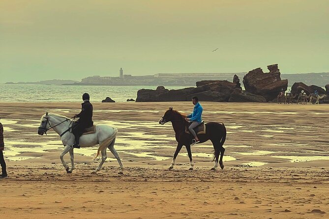 1 hour horse ride on the beach of essaouira - How much personal attention can you expect?