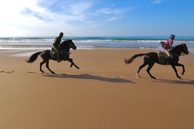 1 hour horse ride on the beach of essaouira - Safety, comfort, and practical limits