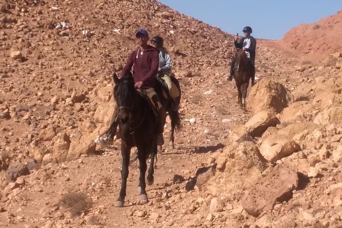 1 Hour Horse Riding Adventure in Ait Ben Haddou - A one-hour route with a different return