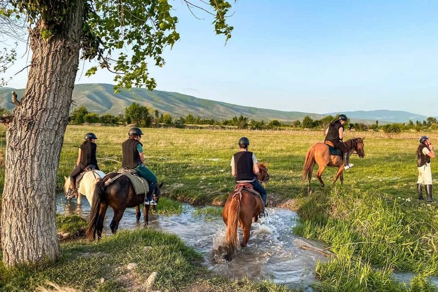 1-Hour Horse Riding Tour at Palomino Ranch Near Tbilisi - The first quiet stretch through the meadows