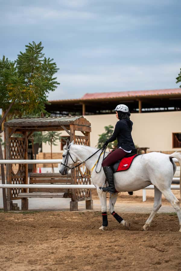 1 Hour Horseback Dubai Desert Park Ride - Riding beyond Dubai’s city skyline
