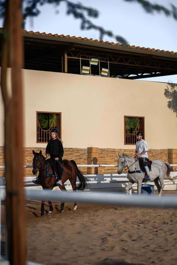 1 Hour Horseback Dubai Desert Park Ride - What the small group changes