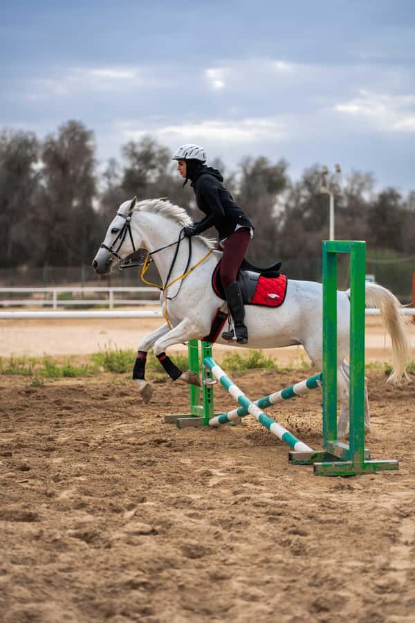 1 Hour Horseback Dubai Desert Park Ride - How fast will you ride?