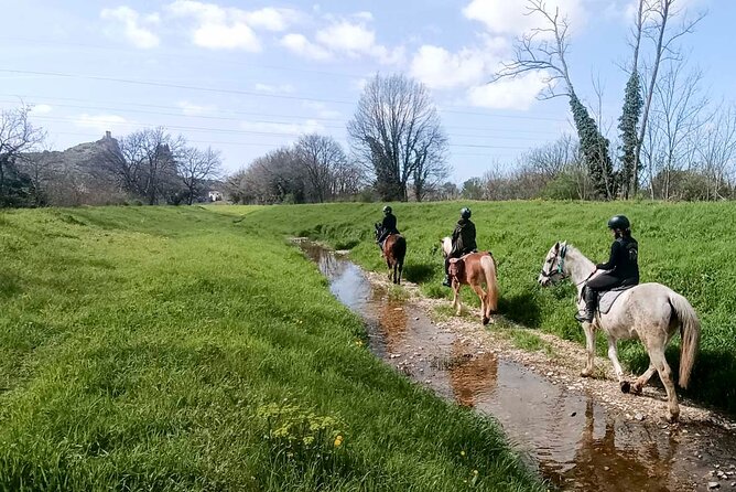 1 hour horseback ride in Valgraziosa Pisa - Riding from Calci into the Valgraziosa countryside