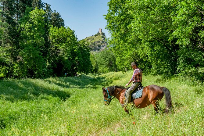 1 hour horseback ride in Valgraziosa Pisa - Reaching the Certosa di Calci