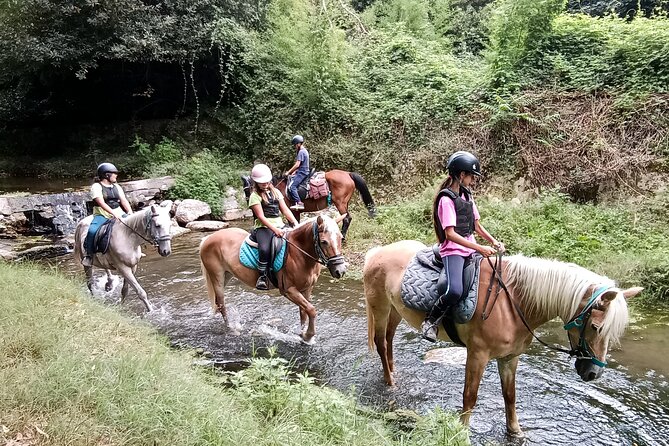 1 hour horseback ride in Valgraziosa Pisa - What you get for $48.06