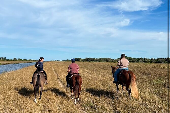 1 hour of ATV + 1 hour horse ride-- free videos and pictures - Practical clothing and planning advice