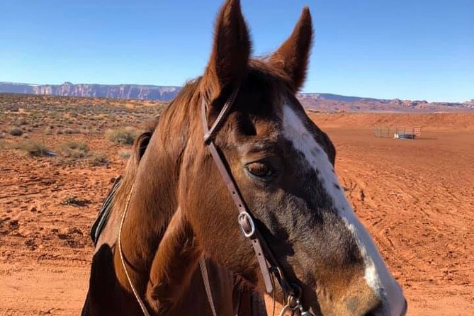 1-Hour Page Horseshoe Bend Trail Ride - What the $155 price really covers