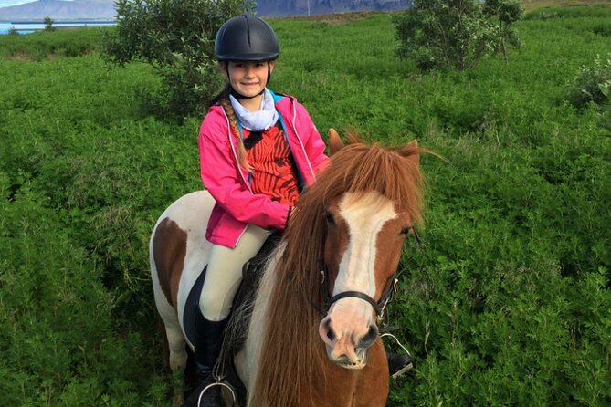 1+ hour Private Horse riding tour from Reykjavík/Mosfellsbær - From the stable to Mt. Úlfarsfell views