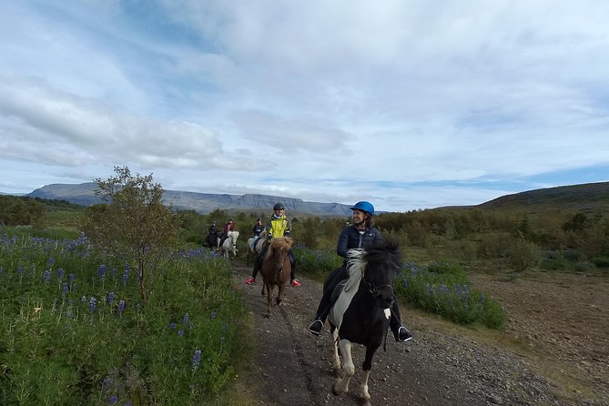 1+ hour Private Horse riding tour from Reykjavík/Mosfellsbær - Learning the Icelandic way