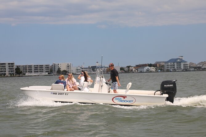 1-Hour Private Party Assateague Island Pony Cruise in Ocean City - Dolphins, shore views, and a little freedom to change course