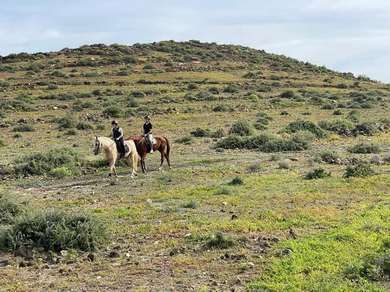 1 hour relaxing horse riding tour in Gran Canaria - Practical clothing and weather advice