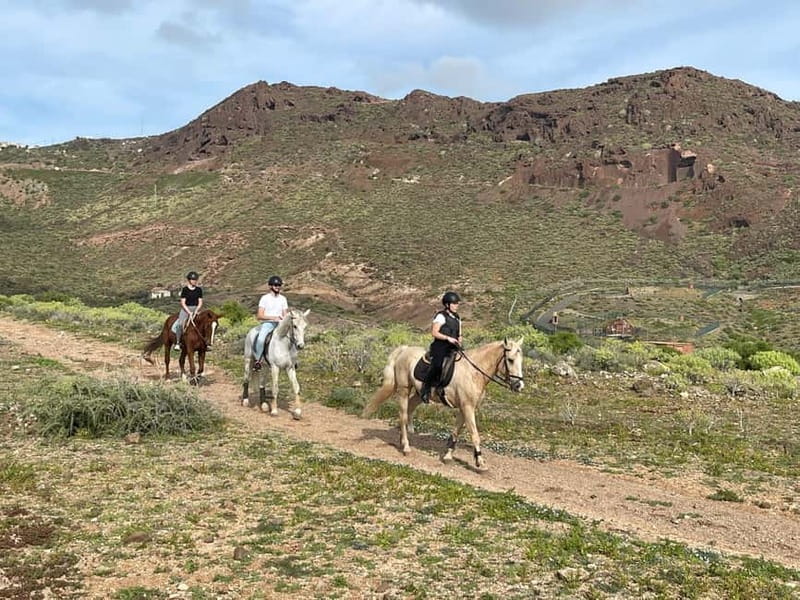 1 hour relaxing horse riding tour in Gran Canaria - Starting at the riding center