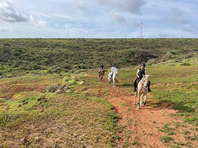 1 hour relaxing horse riding tour in Gran Canaria - Leaving the arena for the Canarian countryside