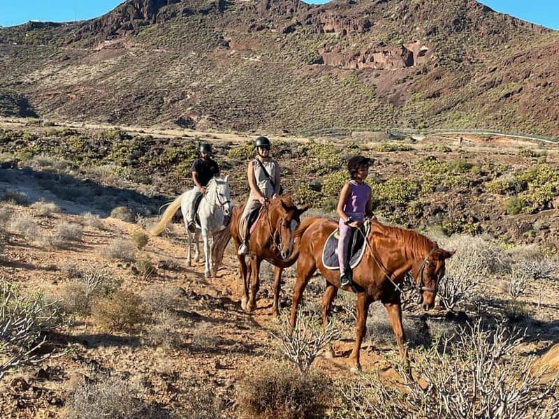 1 hour relaxing horse riding tour in Gran Canaria - What the 1.5-hour schedule really means