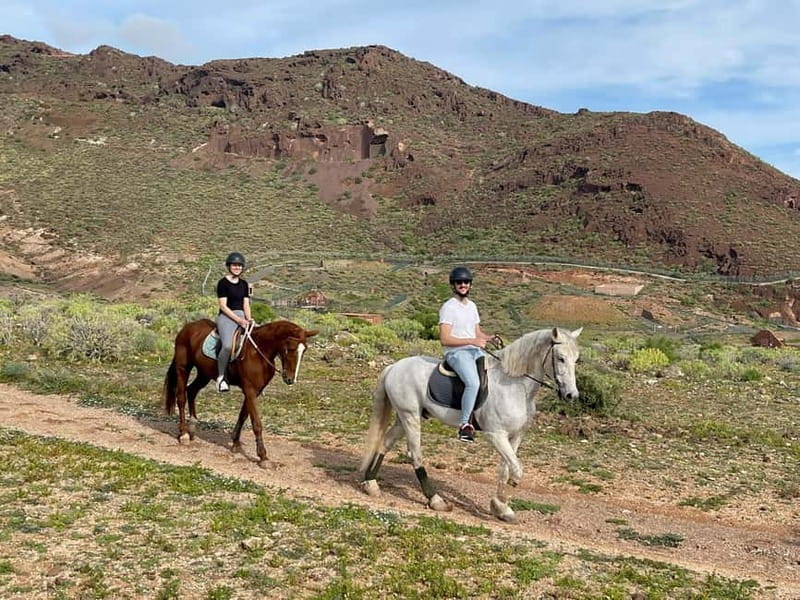 1 hour relaxing horse riding tour in Gran Canaria - The return routine and care for the horses