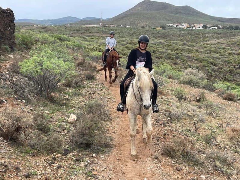 1 hour relaxing horse riding tour in Gran Canaria - Price and what you get for $41