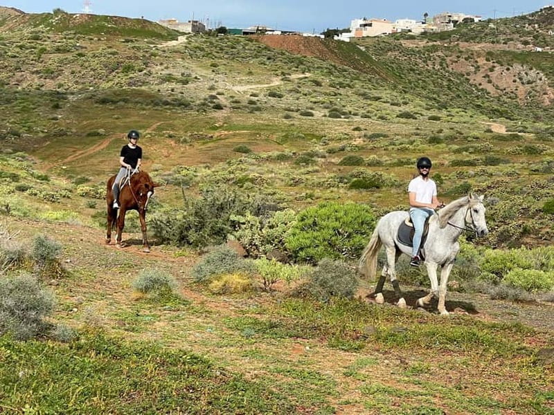 1 hour relaxing horse riding tour in Gran Canaria - Who will enjoy this ride most