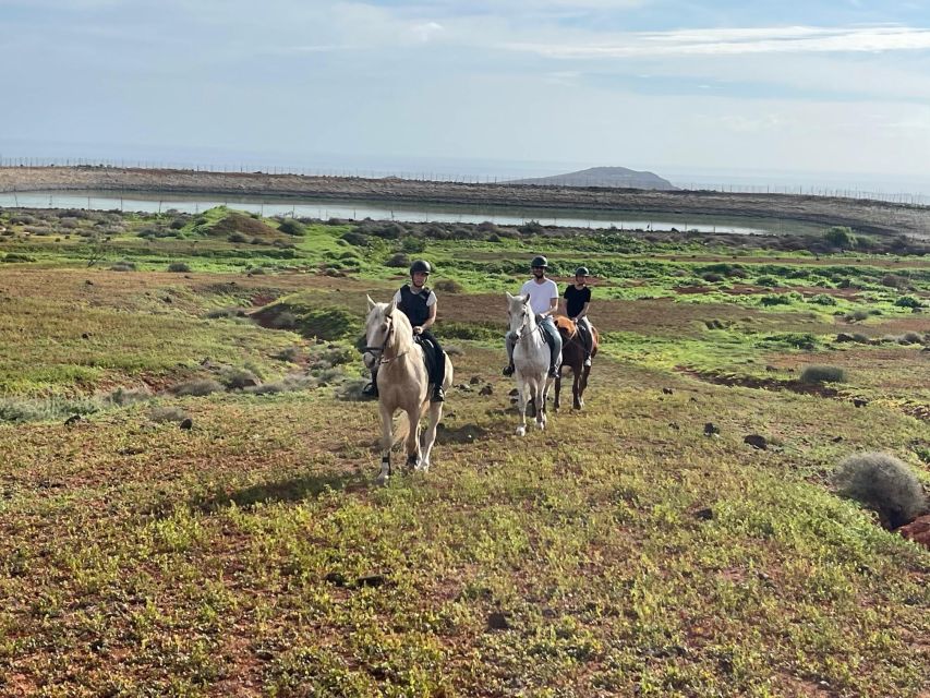 1 hour relaxing horse riding tour in Gran Canaria - Language, teaching style, and group size