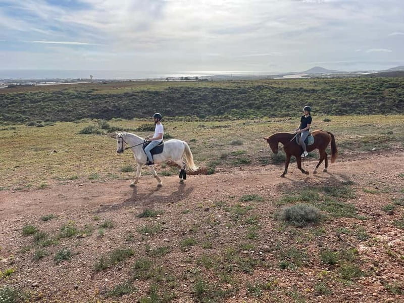 1 hour relaxing horse riding tour in Gran Canaria - The first lesson: helmets, horses, and basic control