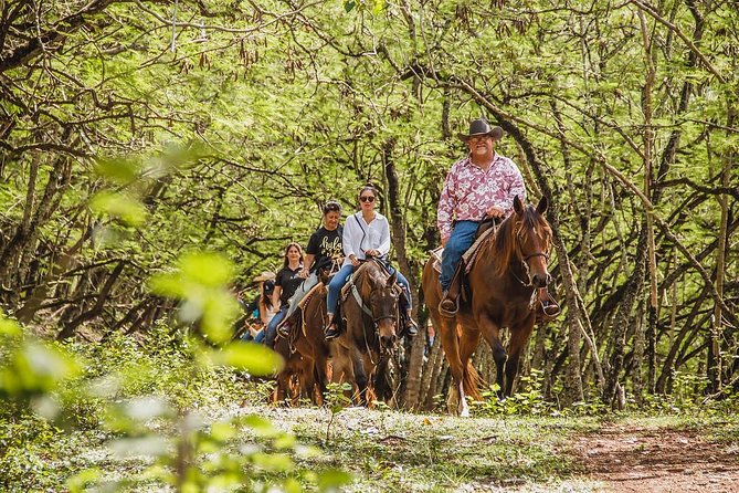 1 Hour Scenic Horseback Ride - Key points to know before you saddle up
