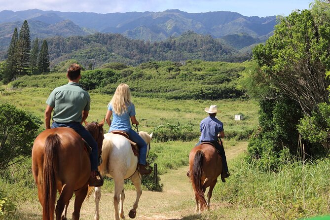 1 Hour Scenic Horseback Ride - Leaving Waikiki for Gunstock Ranch