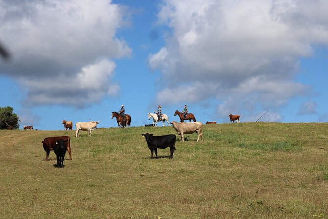 1 Hour Scenic Horseback Ride - Who will enjoy this ride most?