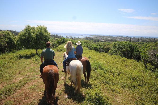 1 Hour Scenic Horseback Ride - Meeting your horse and guide